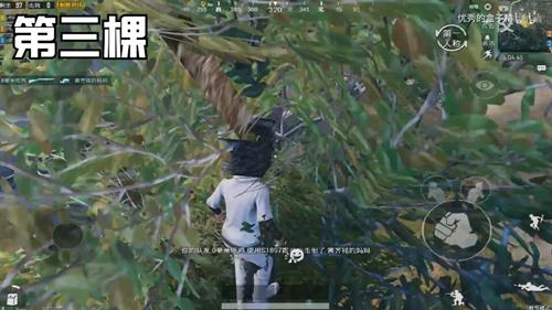 ���������̼�ս��ѧУ���������������_���������̼�ս��ѧУ��������BUG�̳�