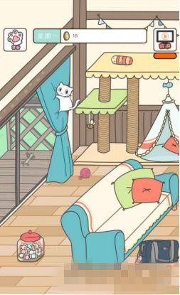 猫咪饲养日常特殊玩具如何获得_猫咪饲养日常特殊玩具获取办法