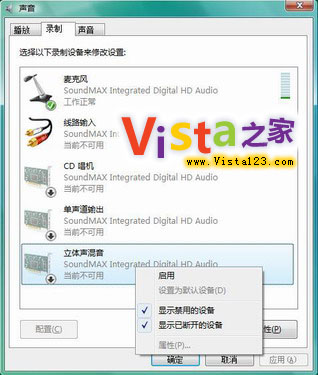 Vista¼취