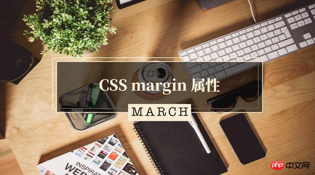 CSSͼϸ̳֮margin