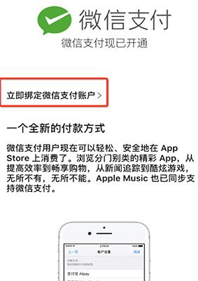 App Store΢֧ʽApp Store΢֧ʹͼʹý̳