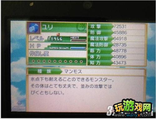 3DS�����Ĺ���4��һ��ȼ��Թ����湥��