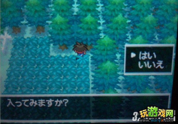 NDS���ڴ����ֺڰ�2����Ѱ���ض�Ѩ�ص�λ��ȫ����