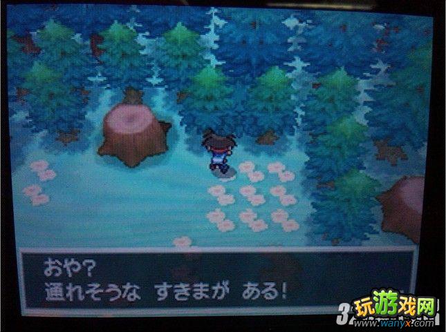 NDS���ڴ����ֺڰ�2����Ѱ���ض�Ѩ�ص�λ��ȫ����