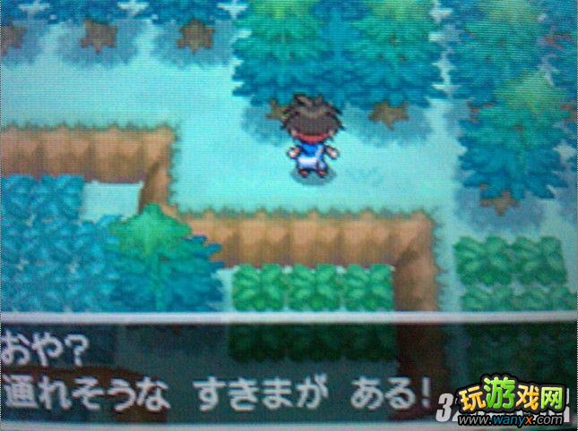 NDS���ڴ����ֺڰ�2����Ѱ���ض�Ѩ�ص�λ��ȫ����