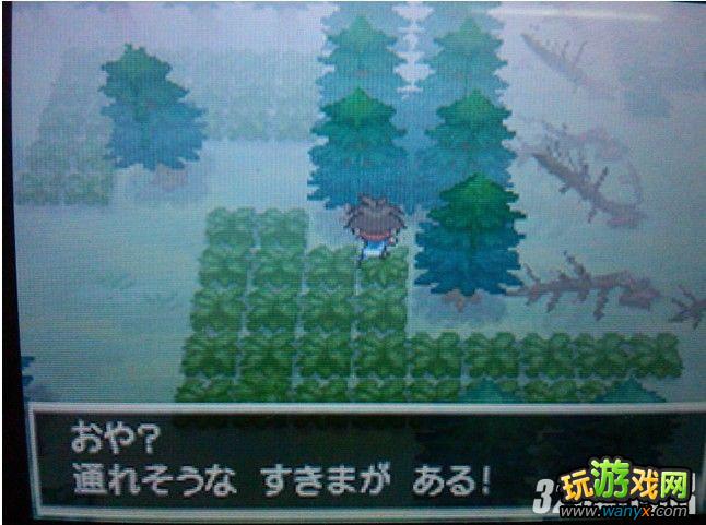 NDS���ڴ����ֺڰ�2����Ѱ���ض�Ѩ�ص�λ��ȫ����